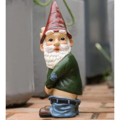 Nain de jardin rigolo