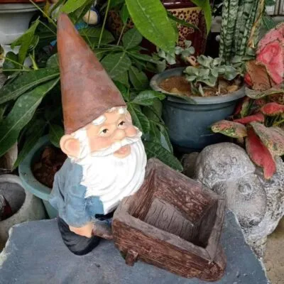 Nain de jardin à brouette